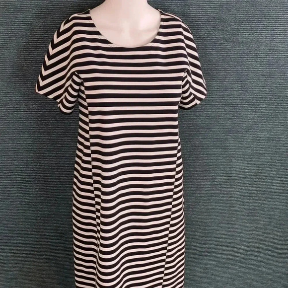 J. Crew Black& White Striped Tee Shirt Dress - Picture 2 of 10